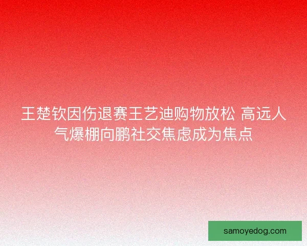 王楚钦因伤退赛王艺迪购物放松 高远人气爆棚向鹏社交焦虑成为焦点