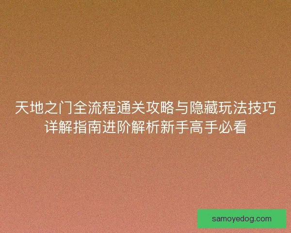 天地之门全流程通关攻略与隐藏玩法技巧详解指南进阶解析新手高手必看
