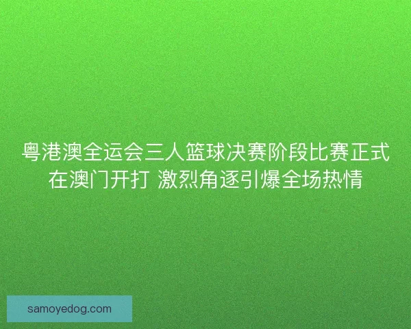 粤港澳全运会三人篮球决赛阶段比赛正式在澳门开打 激烈角逐引爆全场热情