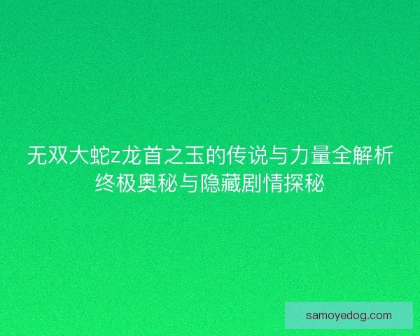 无双大蛇z龙首之玉的传说与力量全解析终极奥秘与隐藏剧情探秘