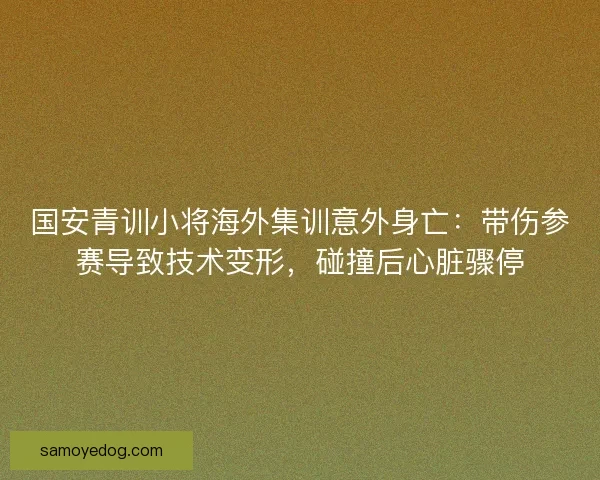 国安青训小将海外集训意外身亡：带伤参赛导致技术变形，碰撞后心脏骤停
